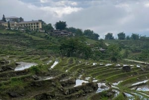 Sapa: 2D/1N Trek Rice Terraces & Homestay with Linh
