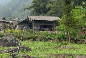 Sapa: 2D/1N Trek Rice Terraces & Homestay with Linh