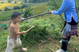 Sapa: 2D/1N Trek Rice Terraces & Homestay with Linh