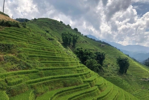 Sapa: 2D/1N Trek Rice Terraces & Homestay with Linh