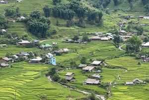 Sapa: 2D/1N Trek Rice Terraces & Homestay with Linh