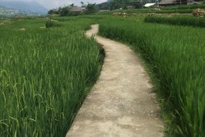 Sapa: 2D/1N Trek Rice Terraces & Homestay with Linh