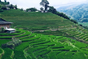 Sapa: 2D/1N Trek Rice Terraces & Homestay with Linh