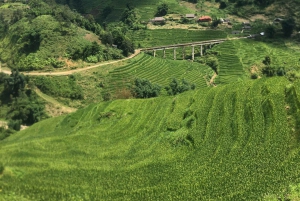 Sapa: 2D/1N Trek Rice Terraces & Homestay with Linh