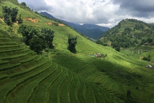 Sapa: 2D/1N Trek Rice Terraces & Homestay with Linh