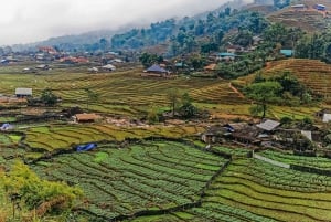 Sapa: 3-Day, 3-Night Trek and Hotel with Overnight Train
