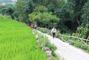 Da Hanoi: Sapa Discovery Package Tour di 1 giorno e 1 notte