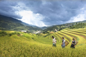 Da Hanoi: Sapa Discovery Package Tour di 1 giorno e 1 notte