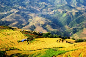 Da Hanoi: Sapa Discovery Package Tour di 1 giorno e 1 notte