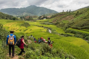 Da Hanoi: Sapa Discovery Package Tour di 1 giorno e 1 notte