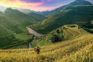 Da Hanoi: Sapa Discovery Package Tour di 1 giorno e 1 notte