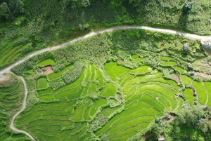 De Sapa Homestay Hideaway 2 dias de aventura na vida local