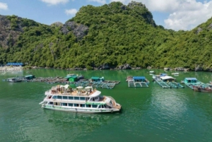 Viagem especial de 1 dia de Hanói para a Ilha Cat Ba e a Baía Lan Ha