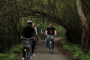 Viagem especial de 1 dia de Hanói para a Ilha Cat Ba e a Baía Lan Ha