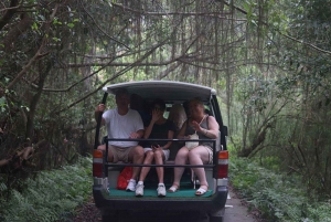 Viagem especial de 1 dia de Hanói para a Ilha Cat Ba e a Baía Lan Ha