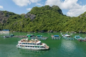 Special day trip from Hanoi to Cat Ba Island & Lan Ha Bay