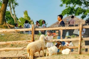Hanói privado especial: tobogán arcoíris, animales y calle del tren