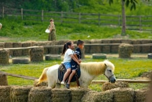 Privates Hanoi: Regenbogenrutsche, Tiere & Zugstraße