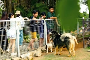 Privates Hanoi: Regenbogenrutsche, Tiere & Zugstraße