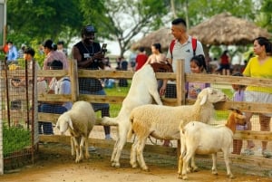 Privates Hanoi: Regenbogenrutsche, Tiere & Zugstraße