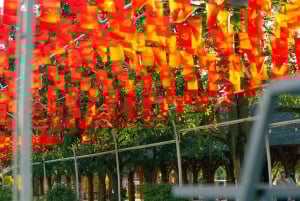 Privates Hanoi: Regenbogenrutsche, Tiere & Zugstraße