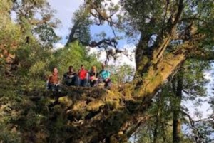 Ruta de senderismo por la montaña Tà Xùa