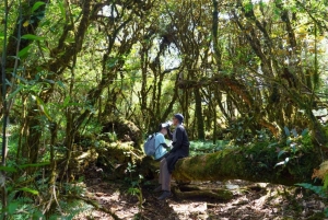 Ruta de senderismo por la montaña Tà Xùa