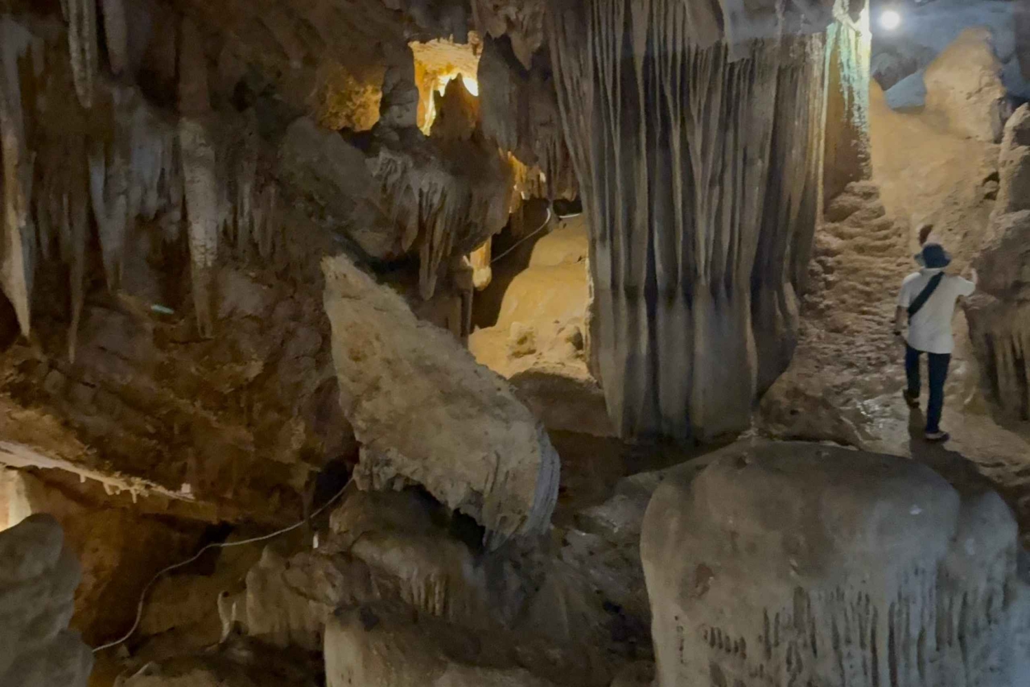 Tam Coc-båd, Bich Dong-pagoden, Thung Nham-fuglepark