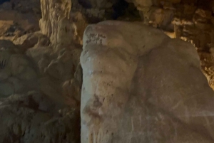 Tam Coc-båd, Bich Dong-pagoden, Thung Nham-fuglepark