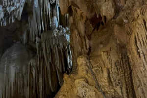 Tam Coc-båd, Bich Dong-pagoden, Thung Nham-fuglepark