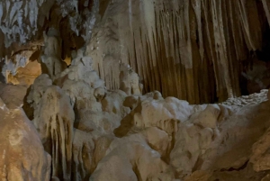 Tam Coc-båd, Bich Dong-pagoden, Thung Nham-fuglepark