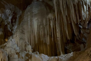 Tam Coc-båd, Bich Dong-pagoden, Thung Nham-fuglepark