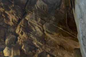 Tam Coc-båd, Bich Dong-pagoden, Thung Nham-fuglepark