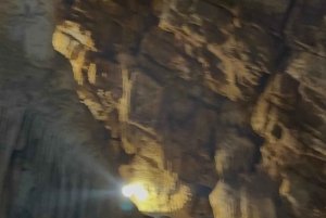 Tam Coc-båd, Bich Dong-pagoden, Thung Nham-fuglepark