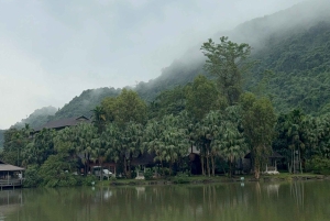 Tam Coc-båd, Bich Dong-pagoden, Thung Nham-fuglepark