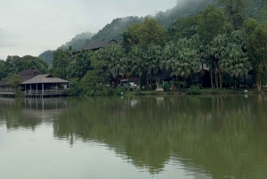 Tam Coc-båd, Bich Dong-pagoden, Thung Nham-fuglepark