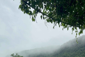 Tam Coc-båd, Bich Dong-pagoden, Thung Nham-fuglepark