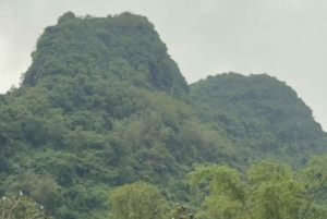 Tam Coc-båd, Bich Dong-pagoden, Thung Nham-fuglepark