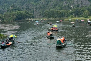Tam Coc-båd, Bich Dong-pagoden, Thung Nham-fuglepark