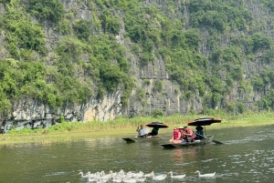Tam Coc-båd, Bich Dong-pagoden, Thung Nham-fuglepark
