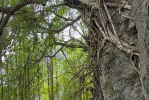Tam Coc-båd, Bich Dong-pagoden, Thung Nham-fuglepark