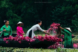 Tam Coc-båd, Bich Dong-pagoden, Thung Nham-fuglepark
