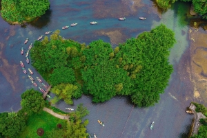 Tam Coc-båd, Bich Dong-pagoden, Thung Nham-fuglepark