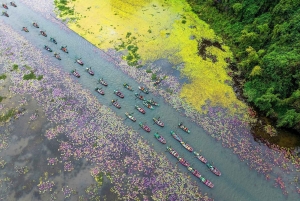 Tam Coc-båd, Bich Dong-pagoden, Thung Nham-fuglepark