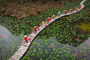 Tam Coc-båd, Bich Dong-pagoden, Thung Nham-fuglepark
