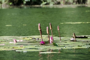 Il miglior tour di un giorno a Ninh Binh: Hoa Lu - Trang An - Grotta di Mua