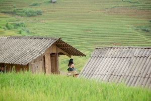 Hanoi: 3-Day Mu Cang Chai Trekking, Hidden Trail, Local Life