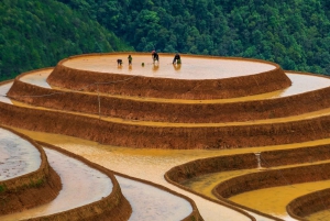 Hanoi: 3-Day Mu Cang Chai Trekking, Hidden Trail, Local Life