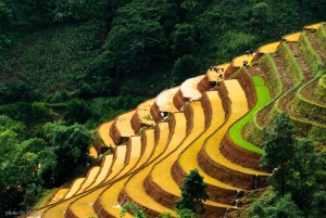 Hanoi: 3-Day Mu Cang Chai Trekking, Hidden Trail, Local Life