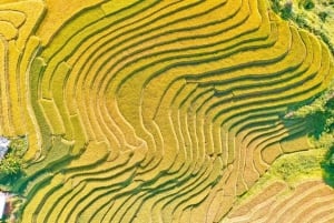 Hanoi: 3-Day Mu Cang Chai Trekking, Hidden Trail, Local Life